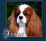 Turretbank Isaac